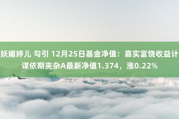 妖媚婷儿 勾引 12月25日基金净值：嘉实富饶收益计谋依期夹杂A最新净值1.374，涨0.22%