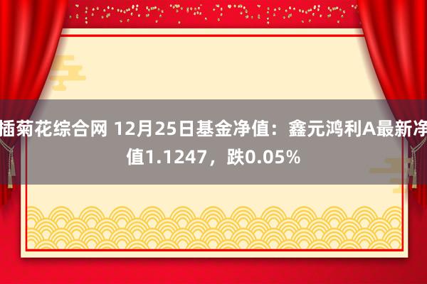 插菊花综合网 12月25日基金净值：鑫元鸿利A最新净值1.1247，跌0.05%