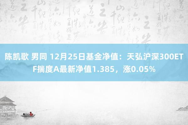 陈凯歌 男同 12月25日基金净值：天弘沪深300ETF揣度A最新净值1.385，涨0.05%