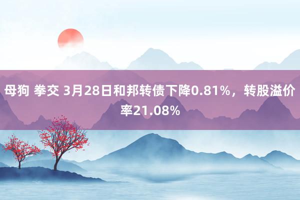 母狗 拳交 3月28日和邦转债下降0.81%，转股溢价率21.08%
