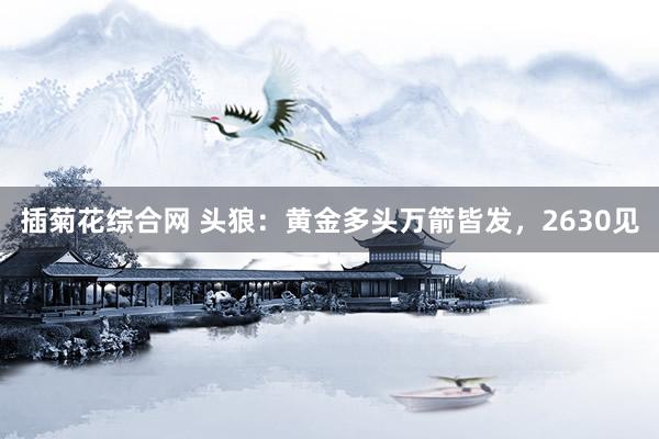 插菊花综合网 头狼：黄金多头万箭皆发，2630见