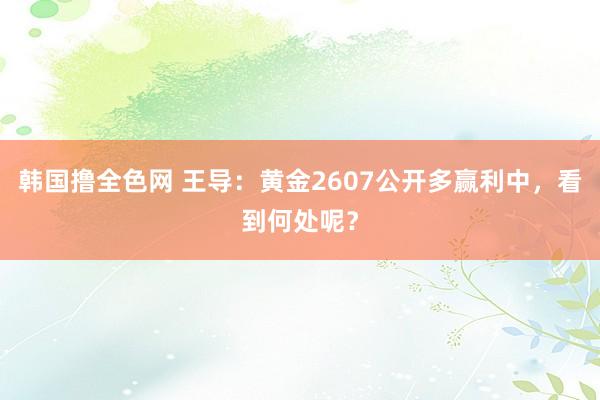 韩国撸全色网 王导:黄金2607公开多赢利中,看到何处呢?