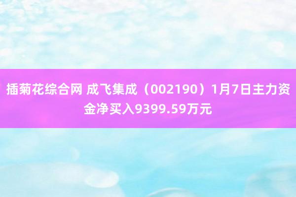 插菊花综合网 成飞集成（002190）1月7日主力资金净买入9399.59万元