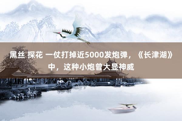 黑丝 探花 一仗打掉近5000发炮弹，《长津湖》中，这种小炮曾大显神威