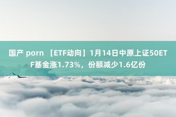 国产 porn 【ETF动向】1月14日中原上证50ETF基金涨1.73%，份额减少1.6亿份
