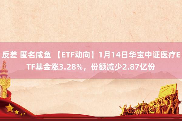 反差 匿名咸鱼 【ETF动向】1月14日华宝中证医疗ETF基金涨3.28%，份额减少2.87亿份