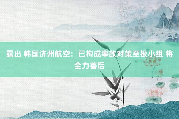 露出 韩国济州航空：已构成事故对策至极小组 将全力善后