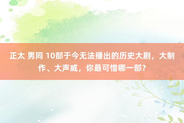 正太 男同 10部于今无法播出的历史大剧，大制作、大声威，你最可惜哪一部？