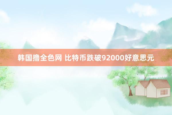 韩国撸全色网 比特币跌破92000好意思元