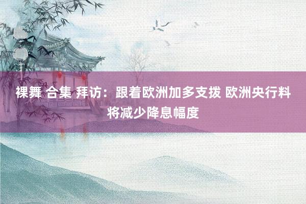 裸舞 合集 拜访：跟着欧洲加多支拨 欧洲央行料将减少降息幅度