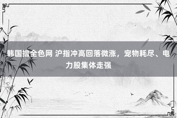韩国撸全色网 沪指冲高回落微涨，宠物耗尽、电力股集体走强