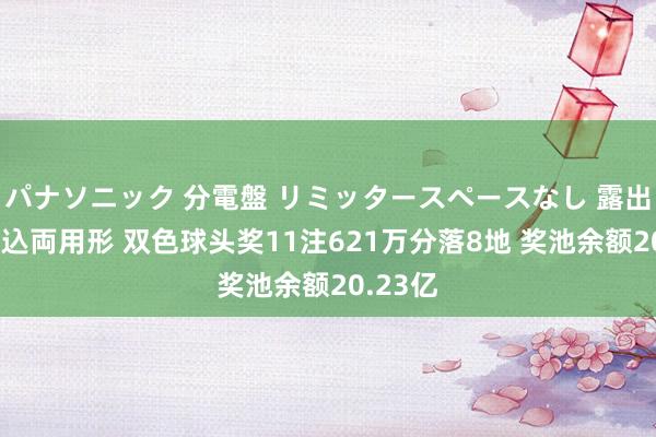 パナソニック 分電盤 リミッタースペースなし 露出・半埋込両用形 双色球头奖11注621万分落8地 奖池余额20.23亿