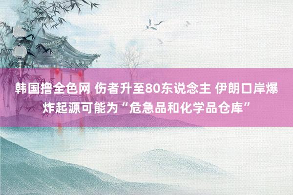 韩国撸全色网 伤者升至80东说念主 伊朗口岸爆炸起源可能为“危急品和化学品仓库”